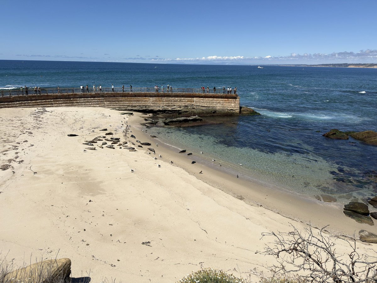 Christopher Harris tweet media