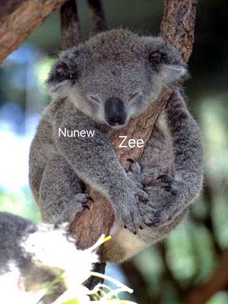 พี่อุ้มพ่อของน้องพึก ⋆. 𐙚 ̊🐶🐱🤏🏻 tweet media