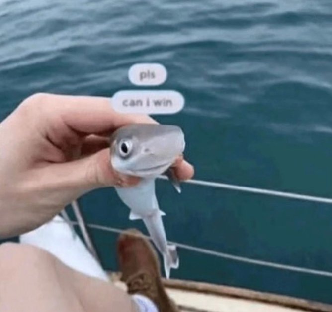 LutherWhite tweet media