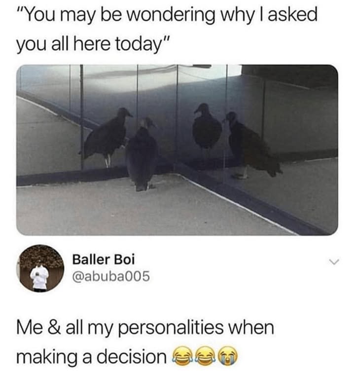 The -4° tweet media