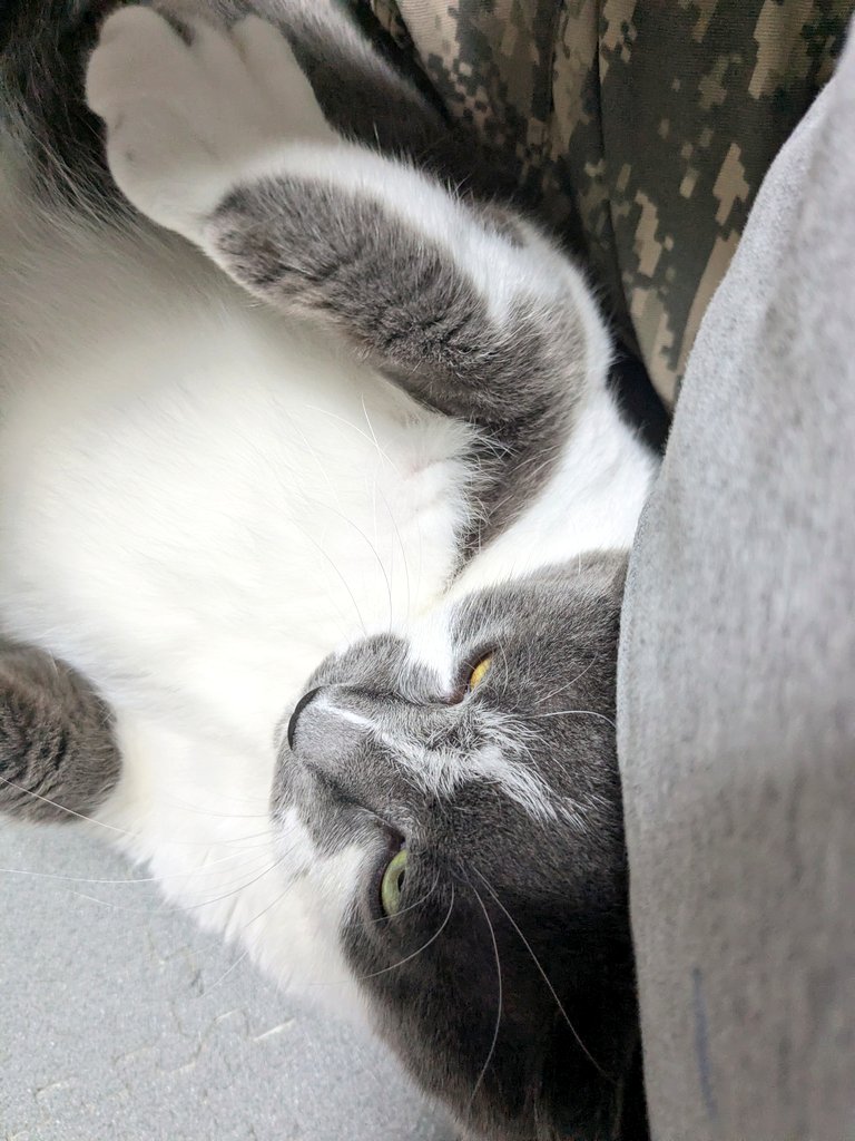 suvta@腰痛ちゅう tweet media