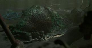 ルー・ターワ・マ・ウッソ tweet media