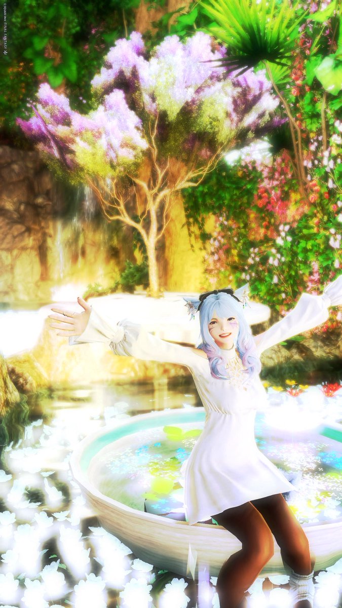 ruri 𖤣𖥧𖥣。𖥧𖧧❁⃘*.゚🦋 tweet media