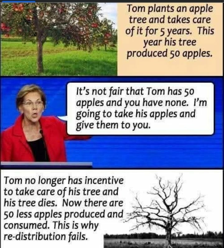 The Left Are Nuts tweet media