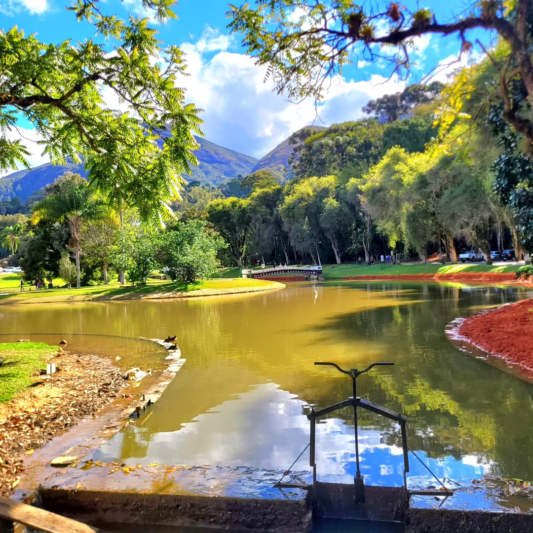 Edipo_Amaral's tweet photo. 🌿 O Nova Friburgo Country Clube 🌴 é refúgio verde com jardins 🌳, lagos 💧 e cenários que convidam ao descanso.

🦆 Com fauna diversa e pontes charmosas ⛲, o espaço une natureza e arquitetura ✨ em perfeita harmonia.
#NovaFriburgo #Natureza #ÁreaVerde https://t.co/B4p3aQFZyU