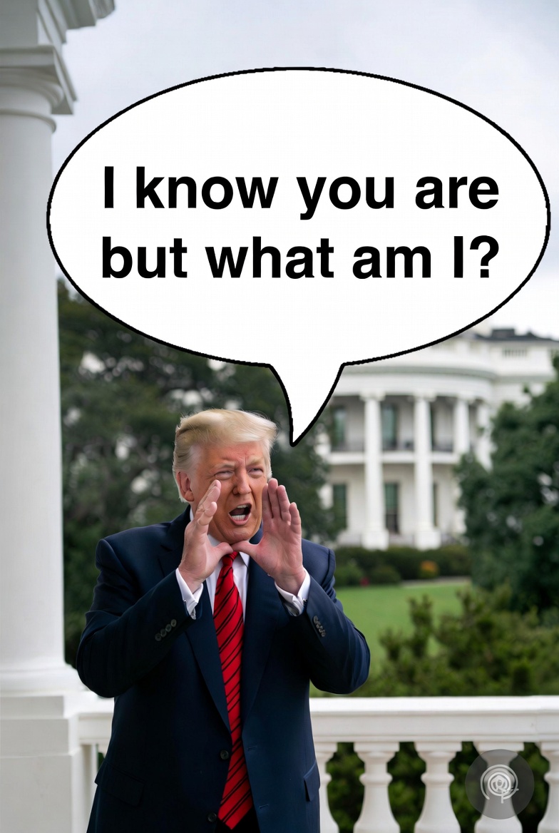 STAN 🌎🇨🇦🇺🇦 tweet media