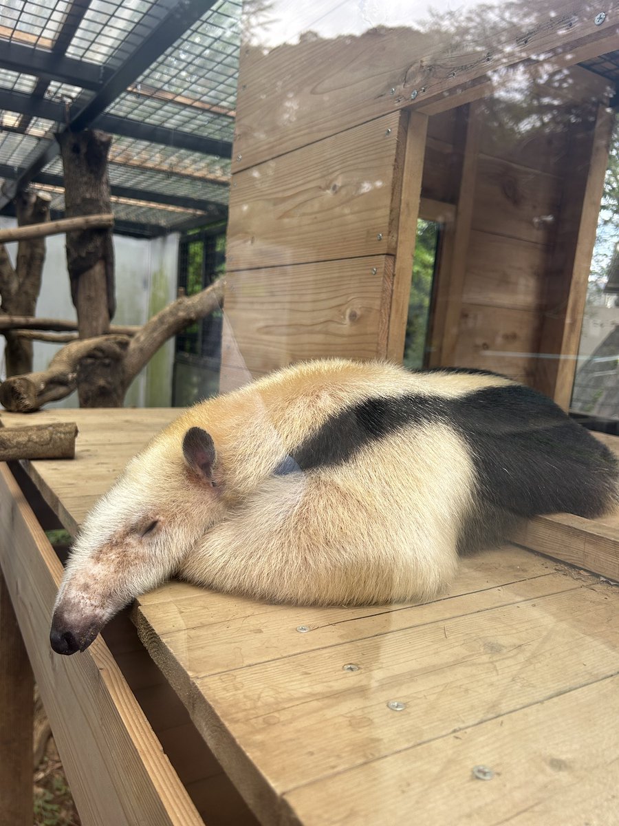 まさくん tweet media