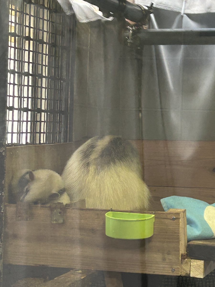 まさくん tweet media