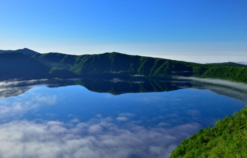 かしわもち tweet media