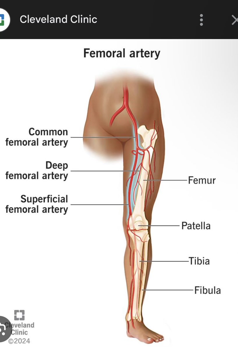 judy 🐠 tweet media