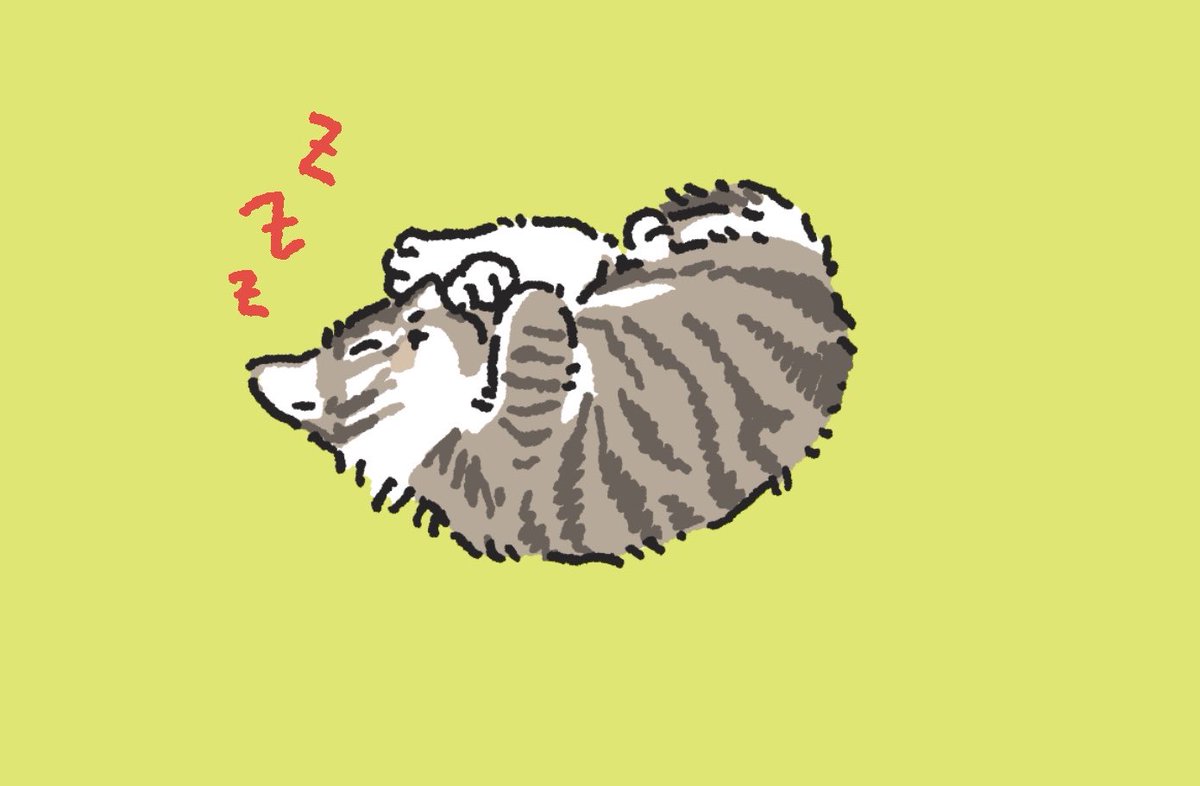 올챙이가된개구리 tweet media