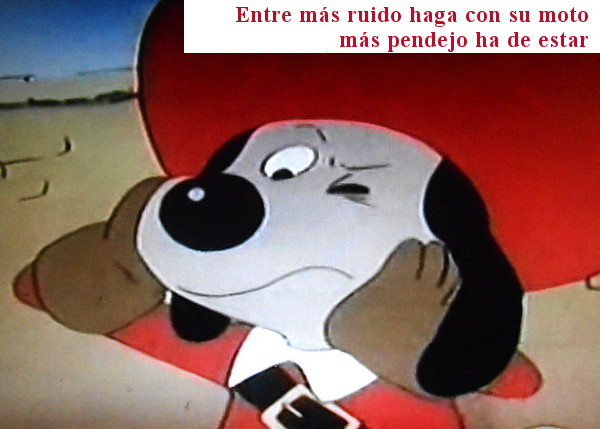 oyefernandez's tweet photo. https://t.co/iiip4WFjvw