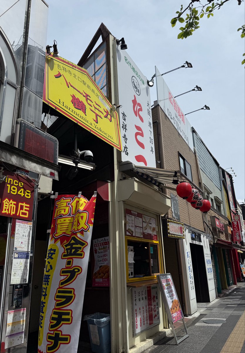 レンタルなんもしない人 tweet media