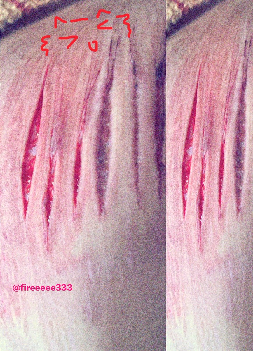 ʄıཞɛ 𐕣𓃵⛧ shtwt tweet media