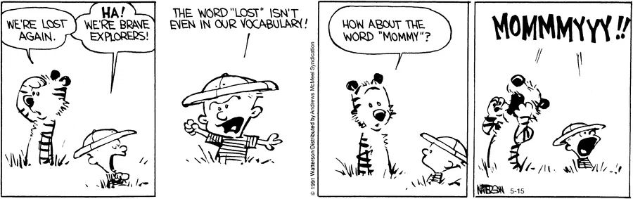 Calvin and Hobbes Fan Account tweet media