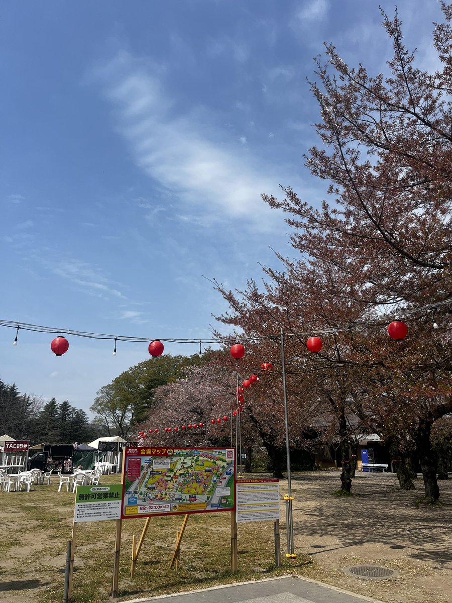西公園お花見 tweet media
