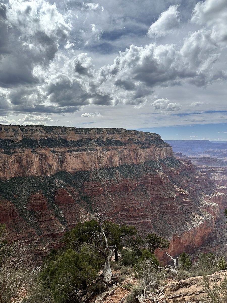 agracegtz's tweet photo. my weekend? oh just hiked the grand canyon with the loml https://t.co/kGpCUqTkzO