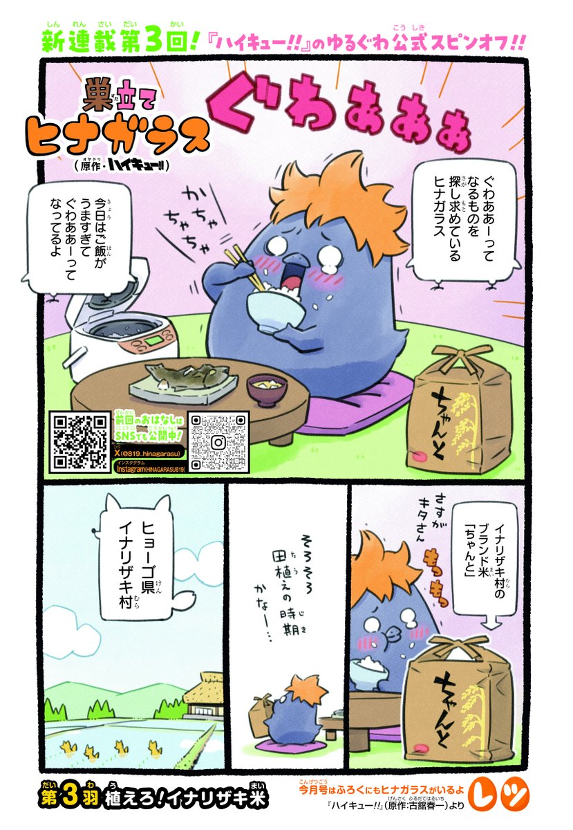 【公式】ヒナガラス tweet media