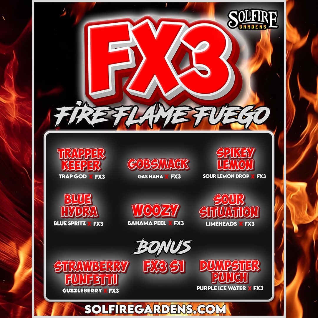 Solfire Gardens tweet media