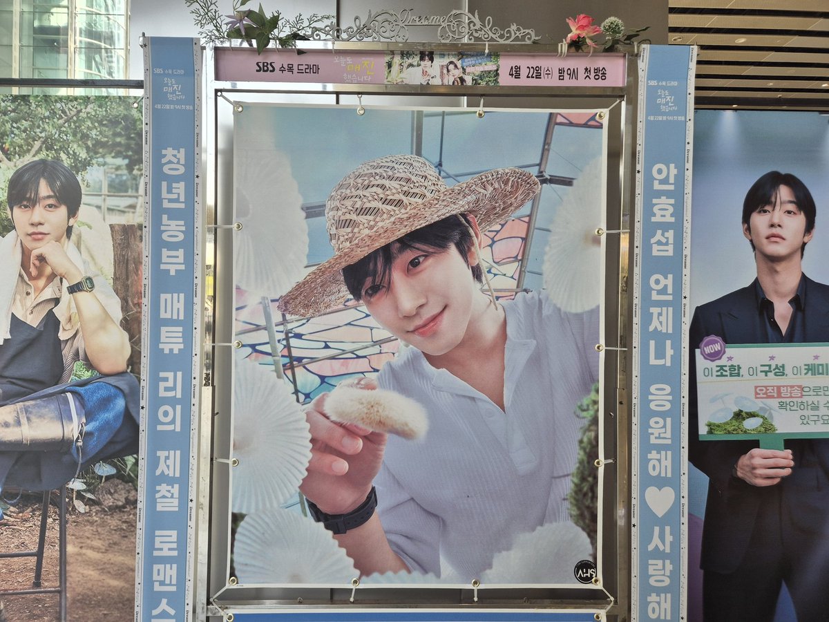 안효섭닷컴 서포터즈 tweet media