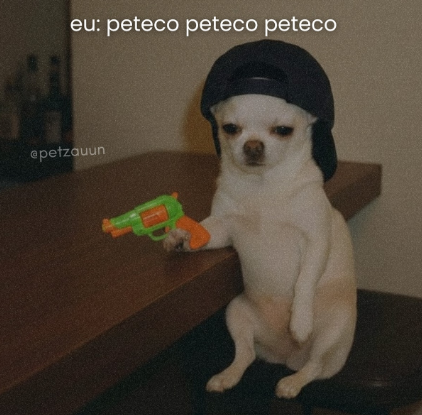 Nathan Pezzulo tweet media