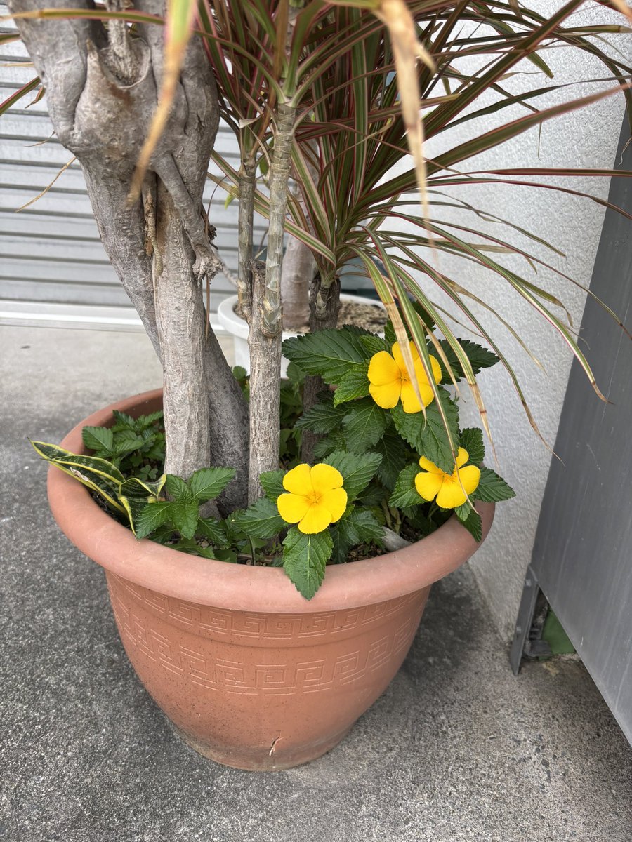 モーリン（bath time is good） tweet media