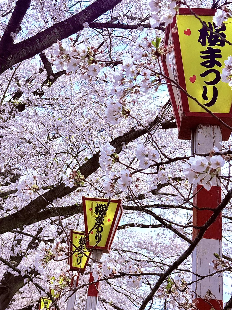 琉侑@るぅ tweet media