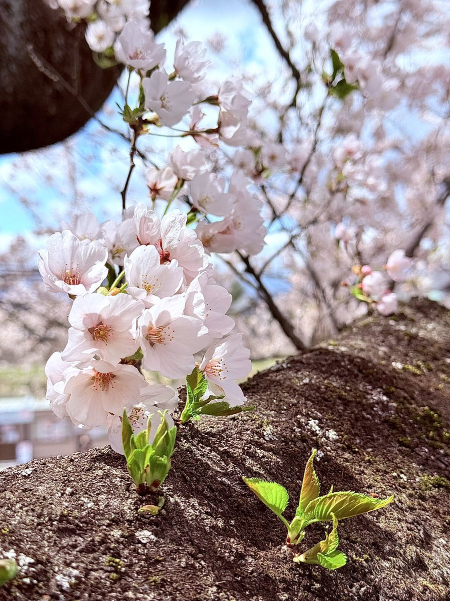 琉侑@るぅ tweet media