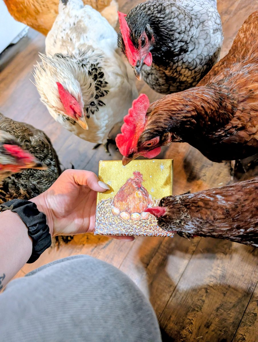 elgaladwen's tweet image. Chickens appreciating art

(painting by Jessie Meehan, that my neighbor gifted me ❤️)

#Chickens #pets #chickenart