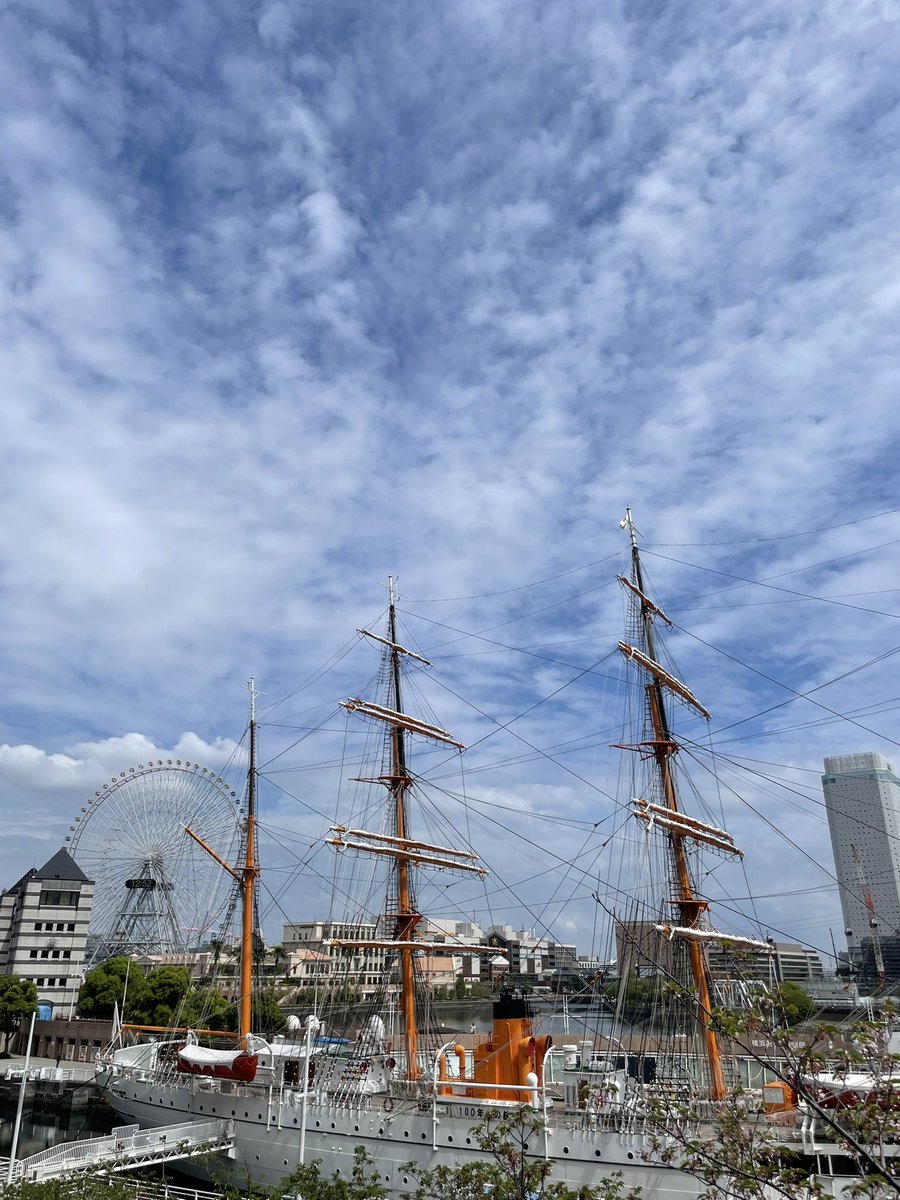 ヨコメガ（旧名メガネキャンプ） tweet media