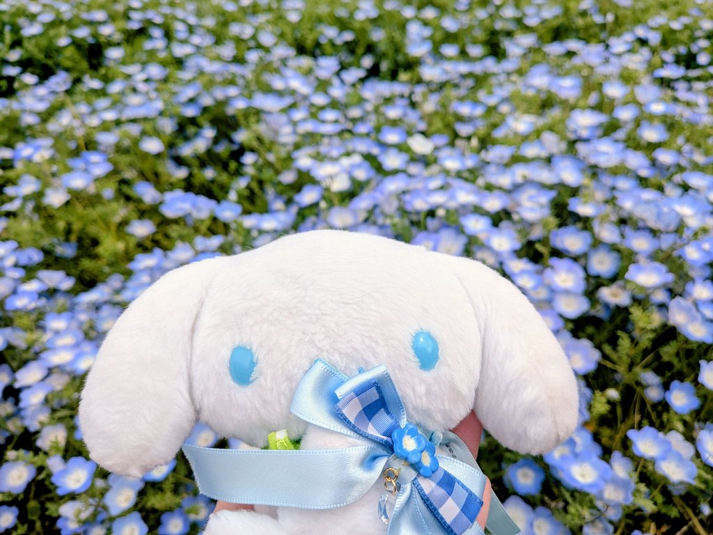 ♭♪おんぷのふわしな♪♯ tweet media