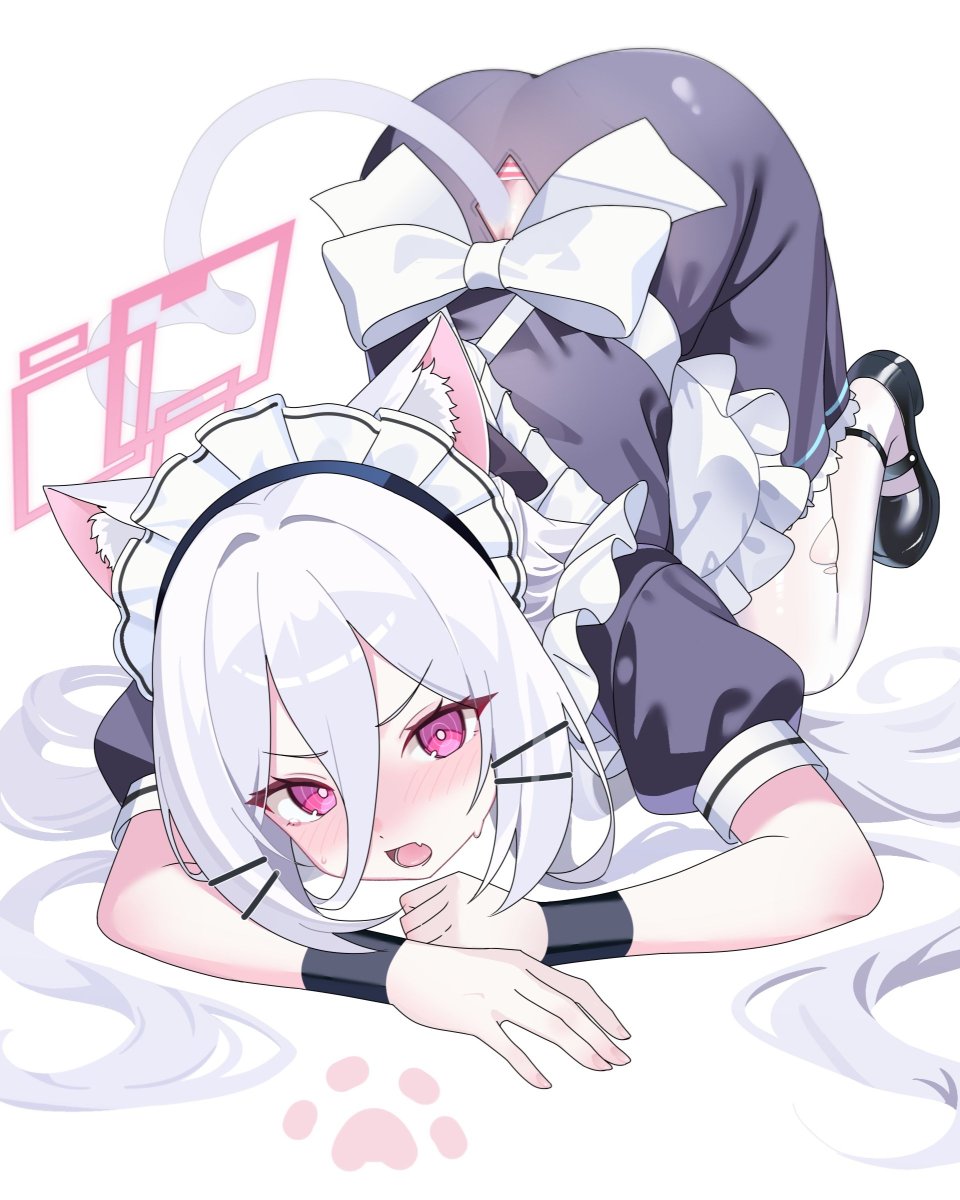 포코 Poko tweet media