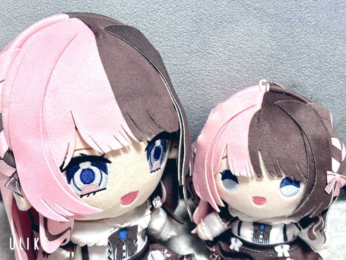 ひなーののぬいすぽっ！mini届いたよ〜！ とってもかわいい(ˊo̴̶̷̤ ̫