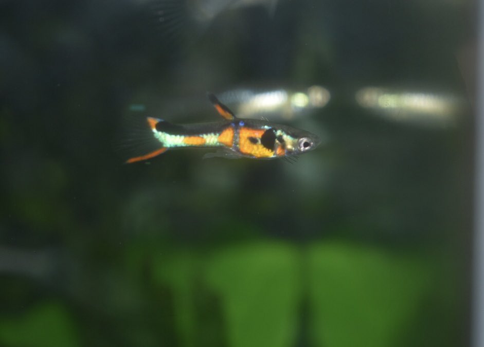 のぉん tweet media