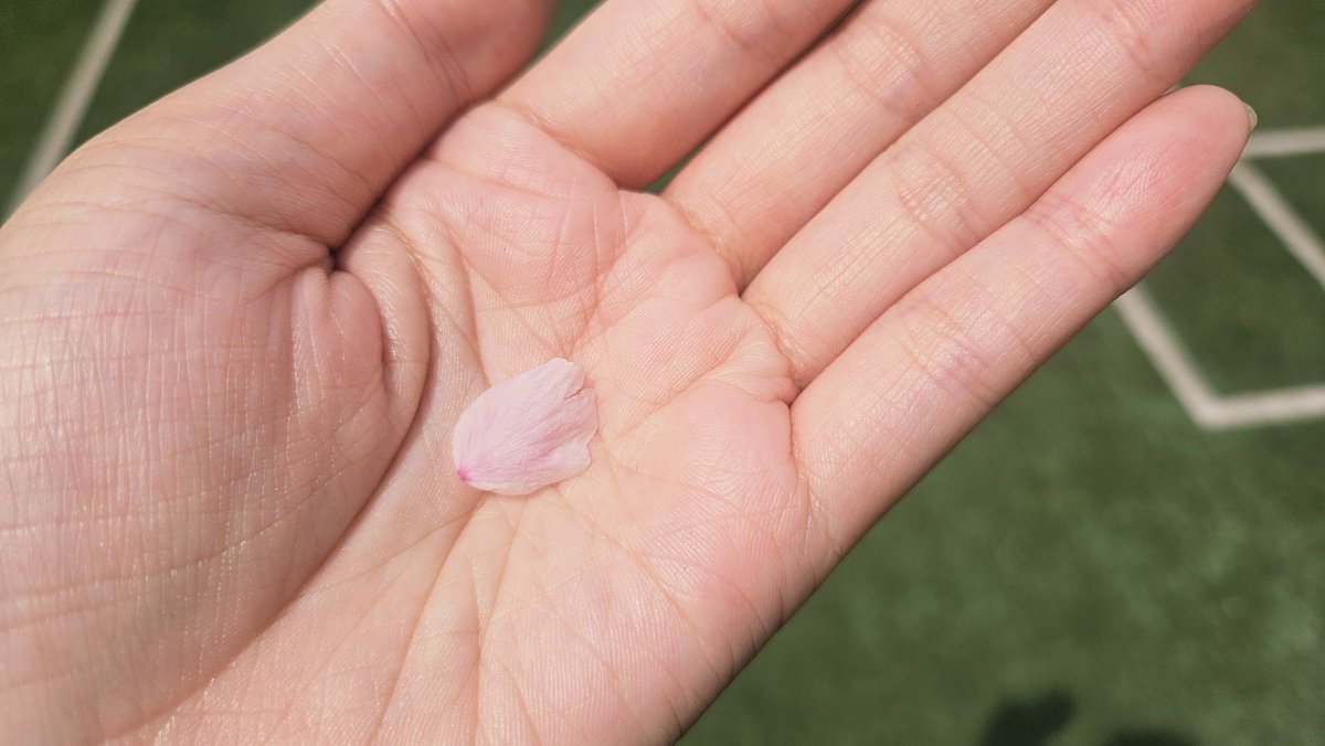 꼼짝마! 세포한다! tweet media