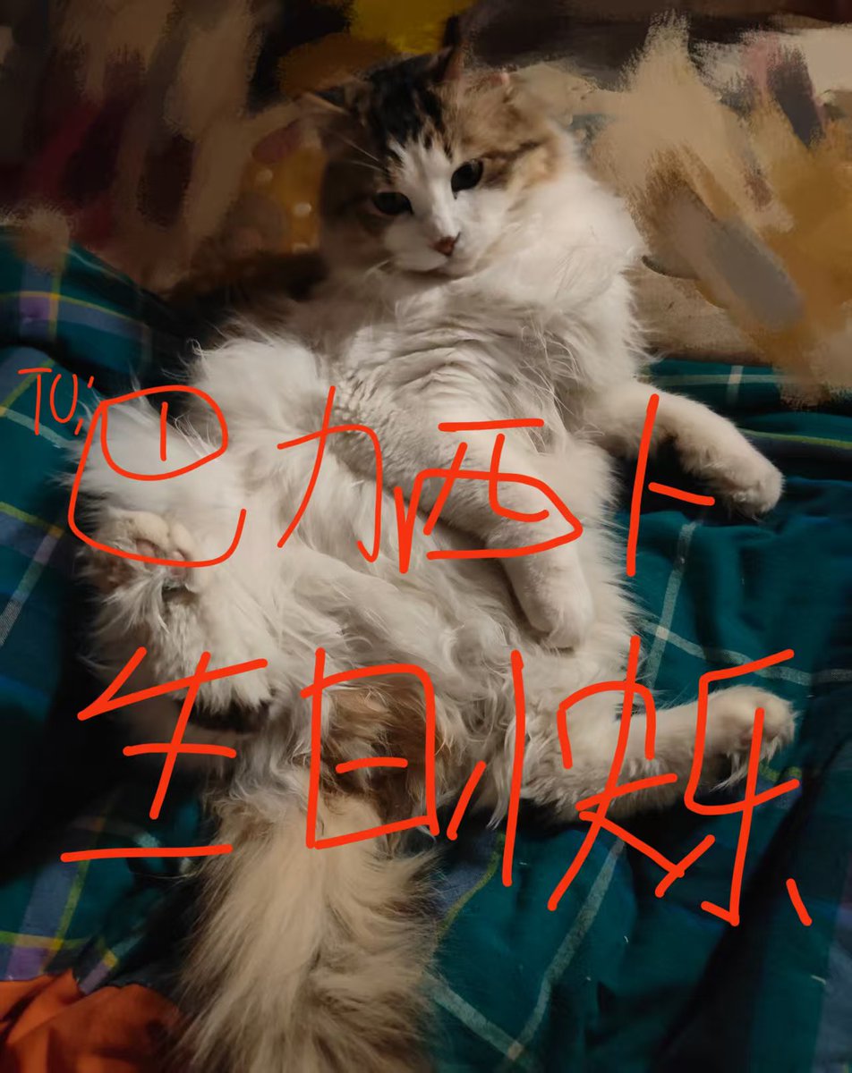 卖萌被人砍 tweet media