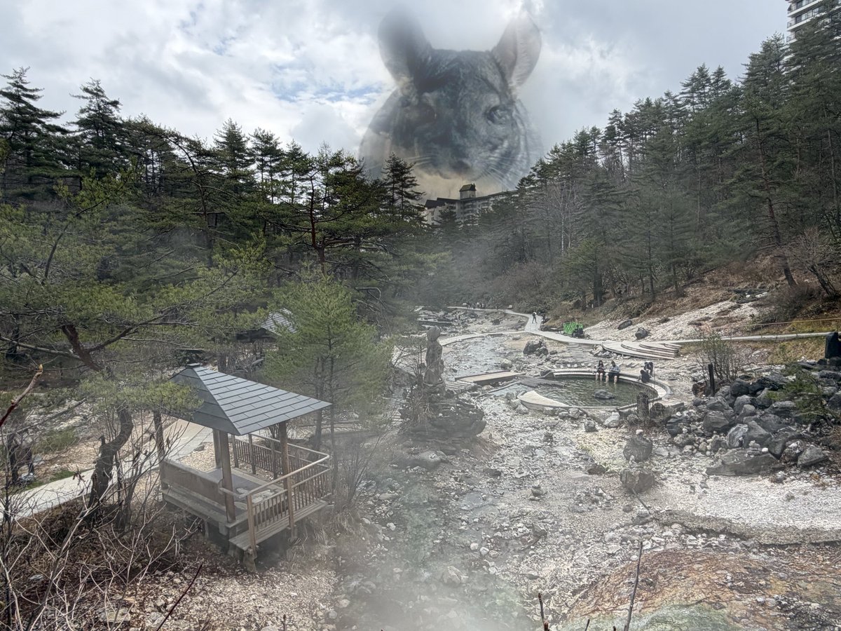 𝙎𝙀𝙍𝙄𝙕𝘼𝙒𝘼 𝘿𝘼𝙔𝙎 tweet media