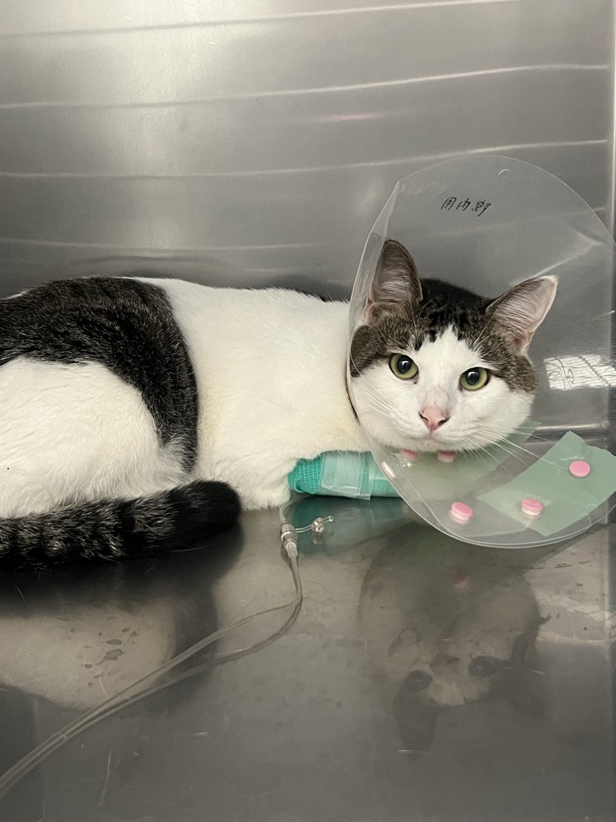 R...🎀❕ tweet media