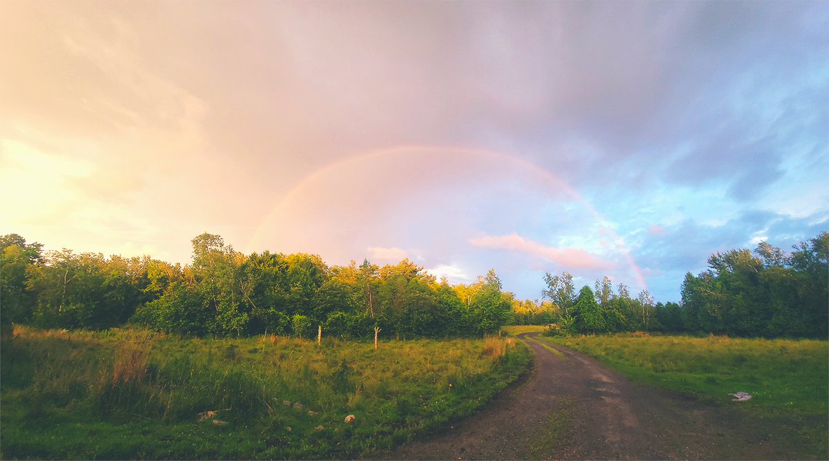 Laura 🇵🇸 #CanadaIsComplicit tweet media