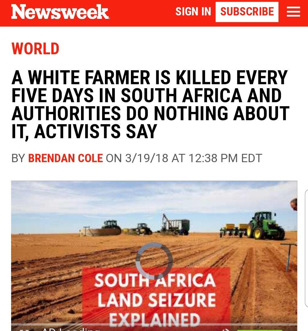 Social Media Guy tweet media