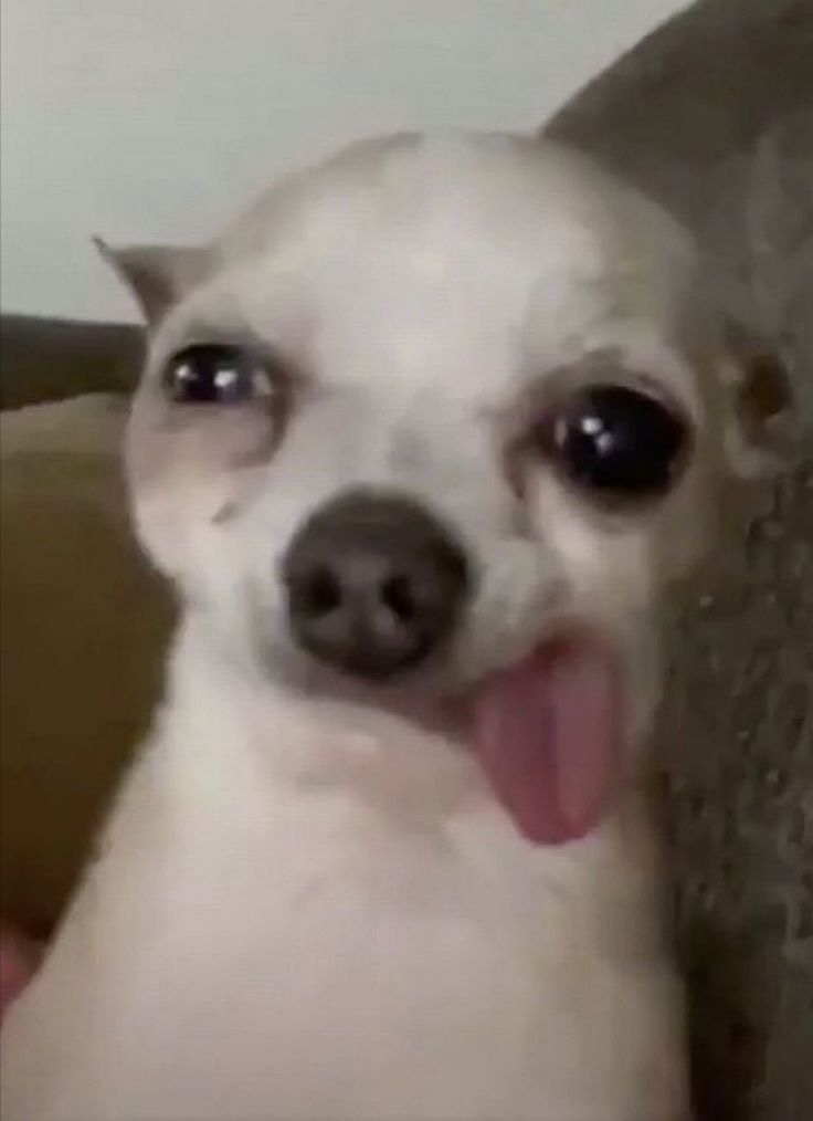 x - Beckett Fan 🦆 tweet media