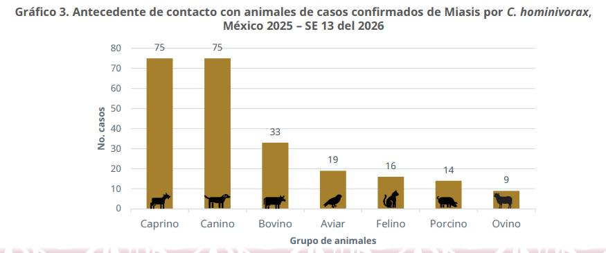 Rafa Fonoy 👨‍⚕️🩺 tweet media