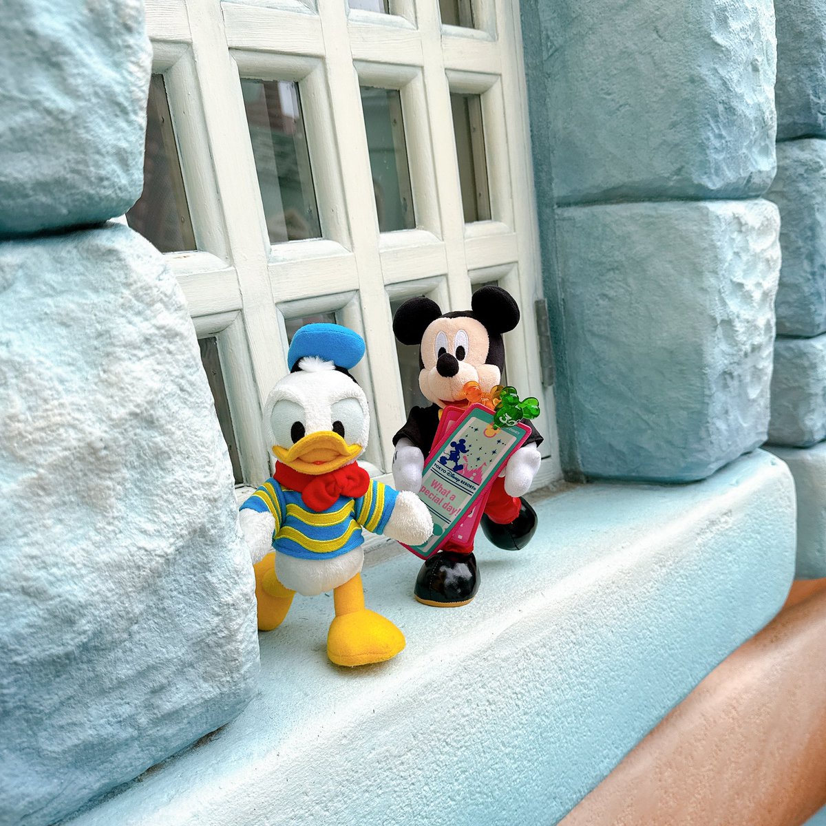 こっち🌱 tweet media