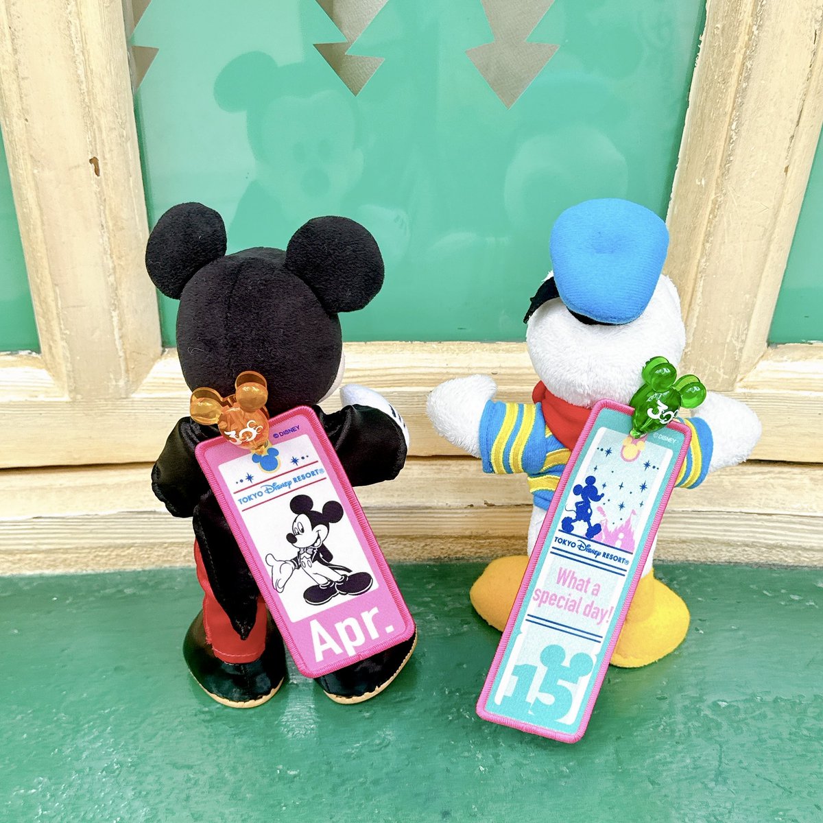 こっち🌱 tweet media