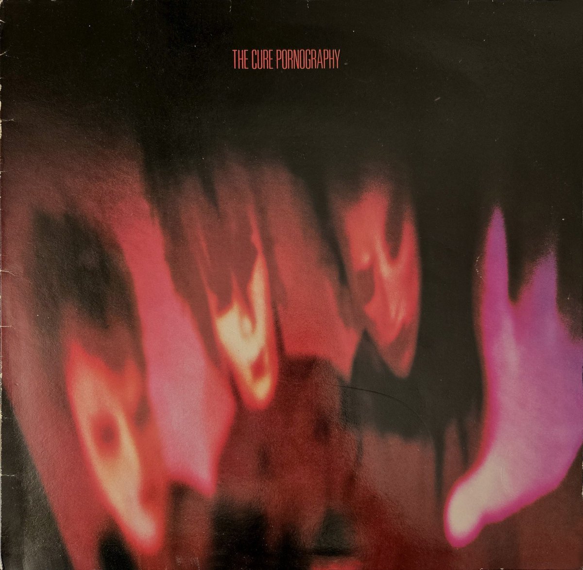 bab0oshka tweet media