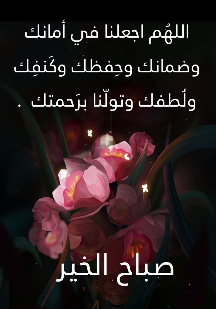 Abo Rayan الرمز_أمر# tweet media