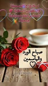 بّـحً ـرَ 🌊 tweet media