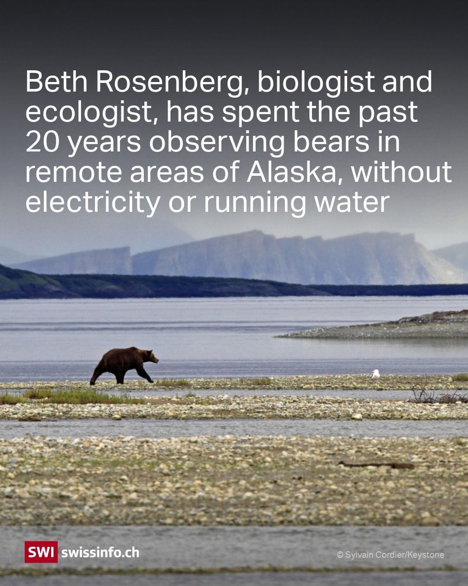 swissinfo_en's tweet image. From identifying #bears in #Alaska to tracking deer in the #Alps, #Swiss-built #AI is opening new frontiers in #wildlife conservation. But machines are no miracle workers: they rely on researchers who have spent a lifetime in nature. 👉
buff.ly/vYn36Xs
