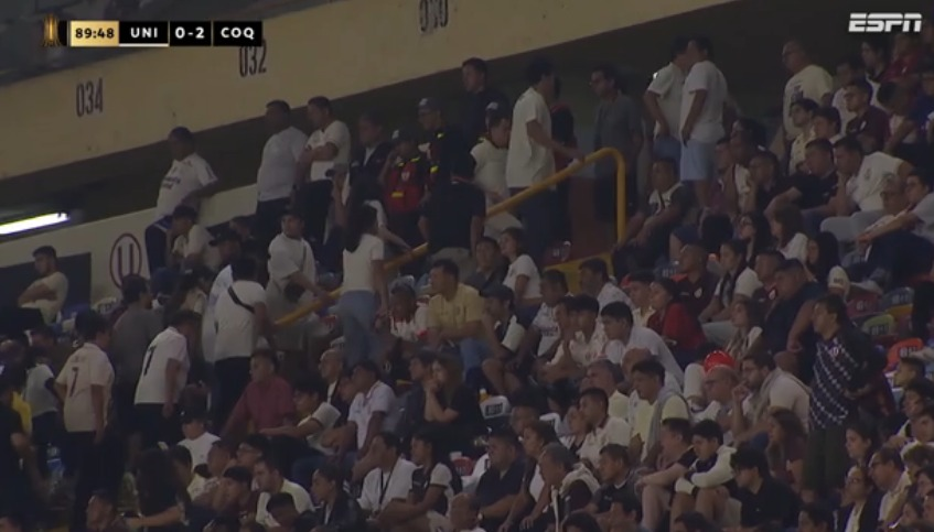 El Gato Grone tweet media