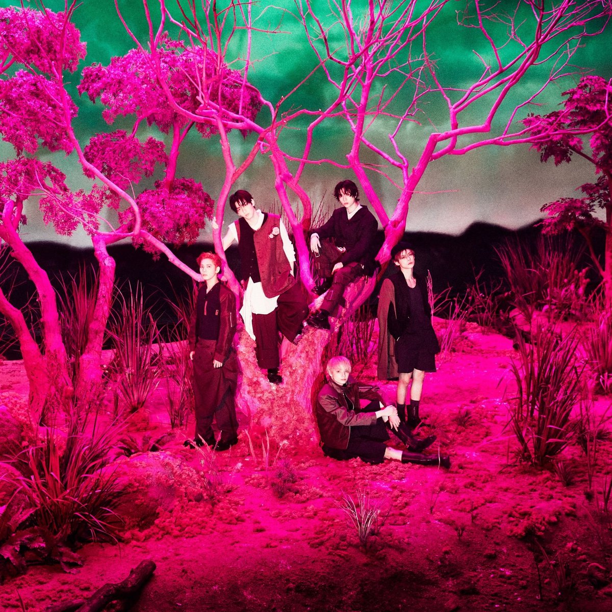 KOREAN SALES tweet media